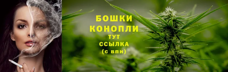 Каннабис White Widow  Дмитриев 